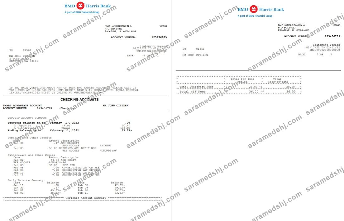 USA BMO Harris bank statement Word and PDF template, 3 pages